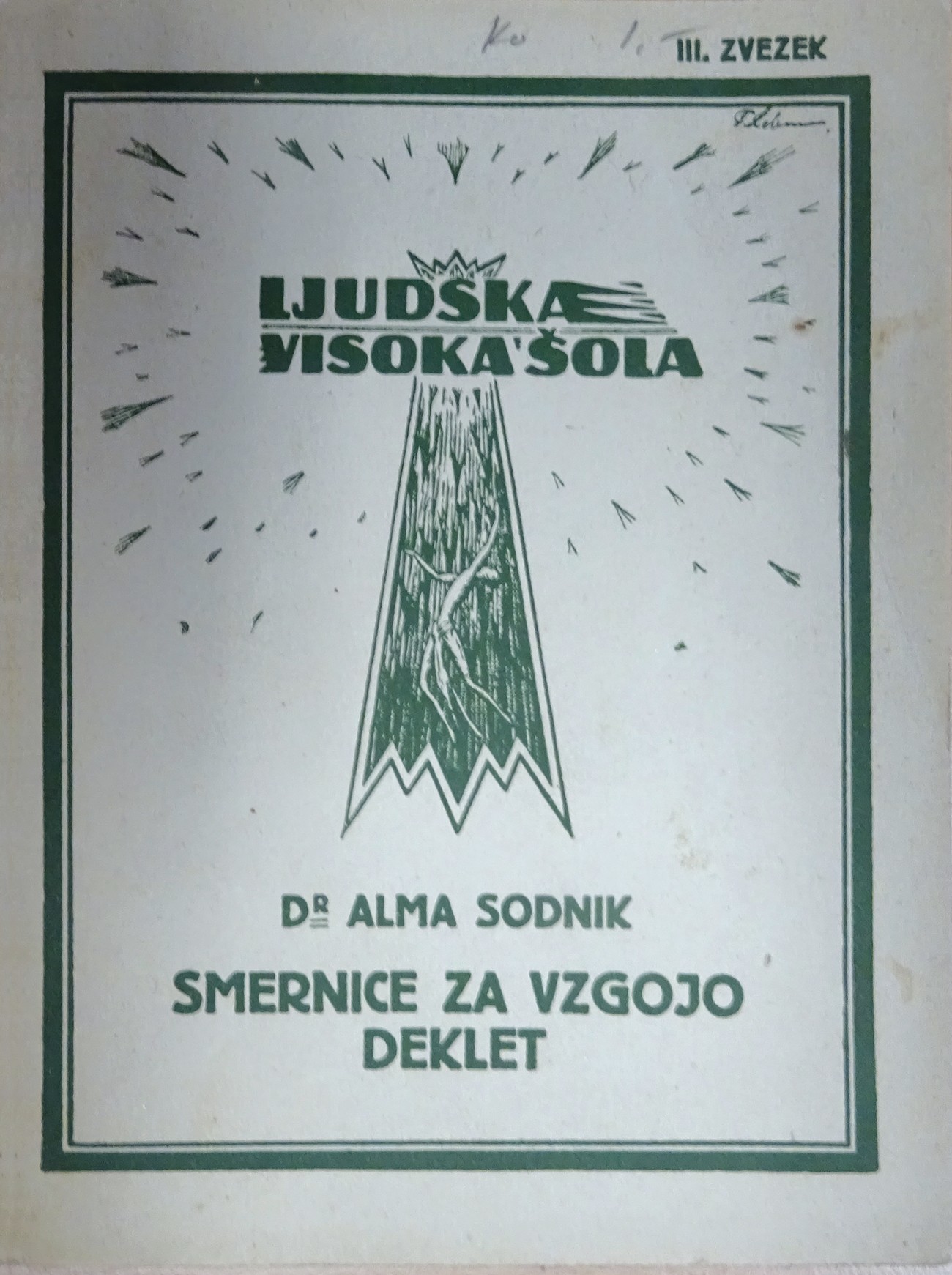 Del opusa Alme Sodnik se je posvečal vprašanjem žensk. Leta 1924 je napisala brošuro Smernice za vzgojo deklet, v kateri se je zavzemala predvsem za poklicno enakopravnost.