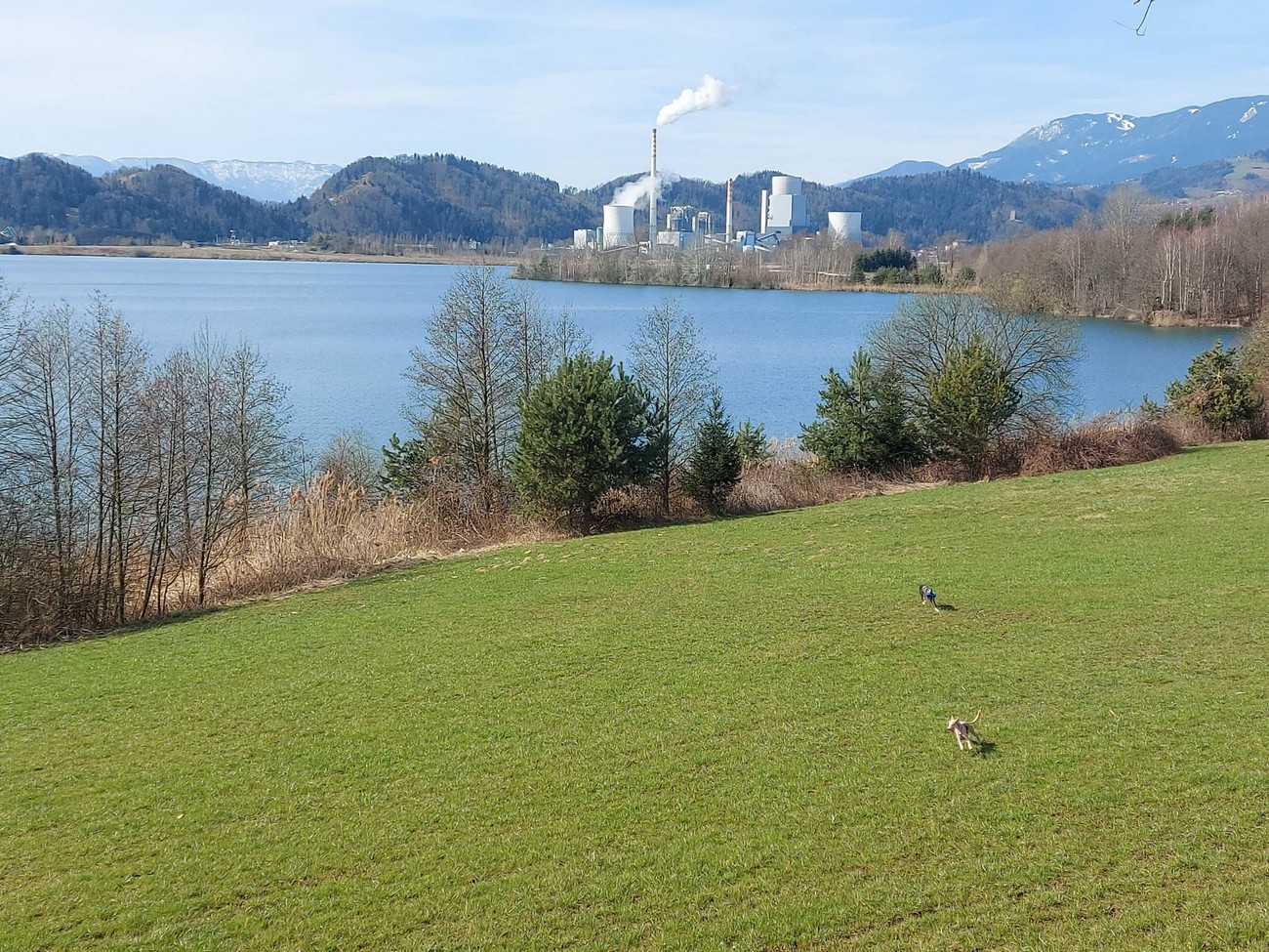 Velenjsko jezero. Fotografija: Nikita Kuster, 2023