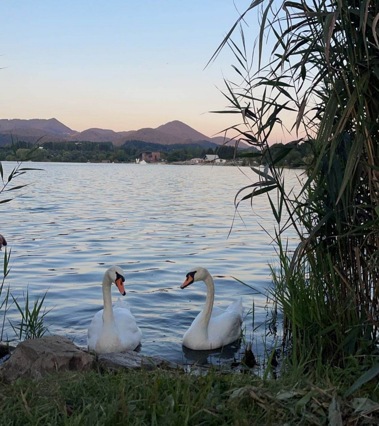 Pogled na Velenjsko jezero s plažo in Visto v ozadju. Fotografija: Zoja Kuster, 2022