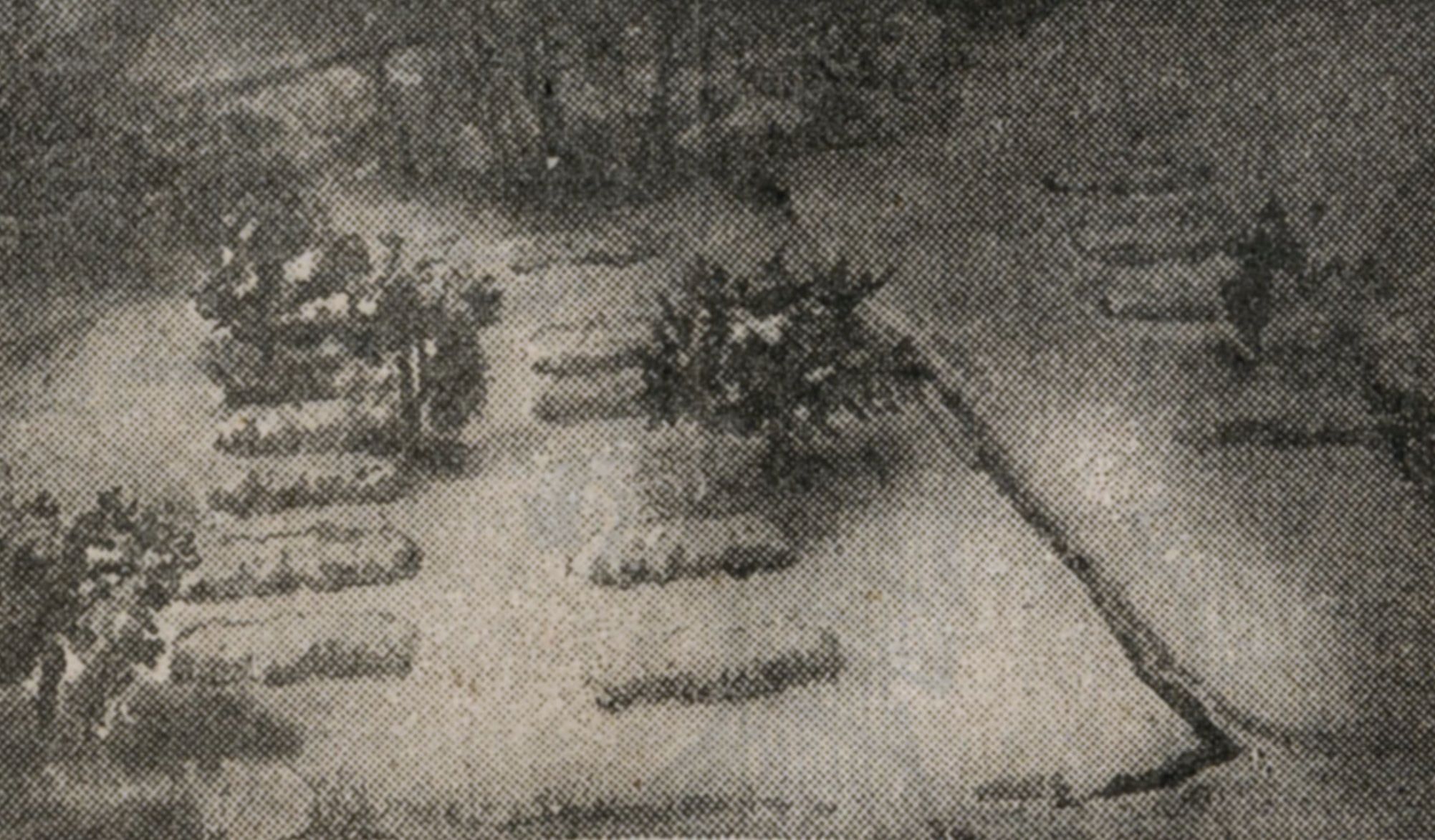 Slika 2: Grobovi na Suhem bajerju. Vir: Jutro, 16. 1. 1927.