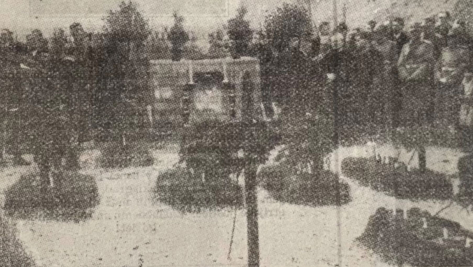 Slika 3: Odkritje spomenika. Vir: Tedenske slike, 30. 5. 1935.