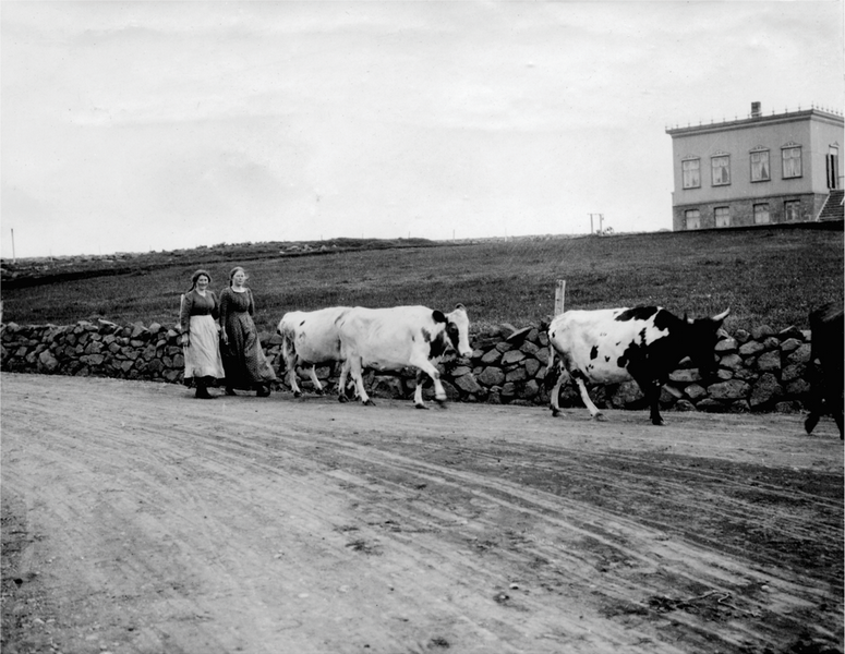 Figure 9. The School for the Deaf in Stakkholt, Reykjavik (the house on the
right). Reykjavik Museum of Photography, author unknown, FFF0111.jpg